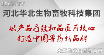 華北生物 聚焦生物技術開發，守護健康——病毒性疾病的防治原則與前沿實踐